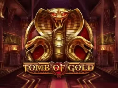 Wilderbet Casino screenshot